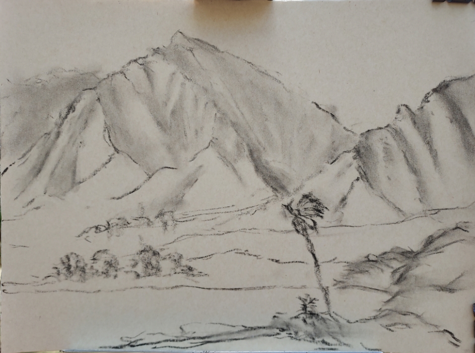 Next Picture